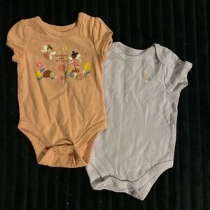 Garanimals Orange and Gray Bodysuits Set